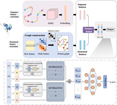 Prediction of protein interactions between pine and pine wood nematode using deep learning and multi-dimensional feature fusion